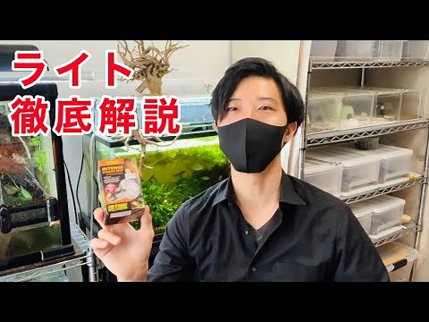 [Comprehensive explanation] Reptile lights (bearded dragons, etc.)