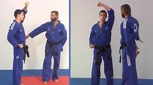 Tae Kwon Do - high block