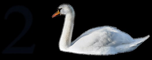 How to Use the Number Shape System