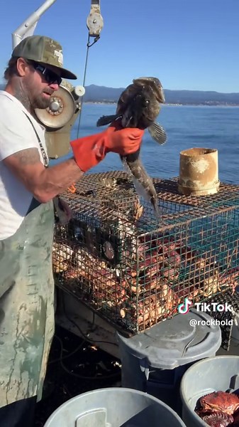 Catching Big Fish: Techniques in Commercial Fishing