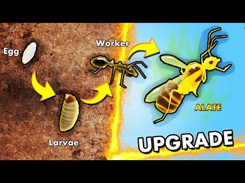 🐜Ants ROBLOX #2