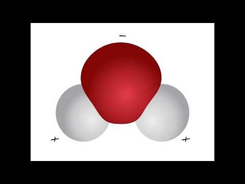 Water the universal solvent