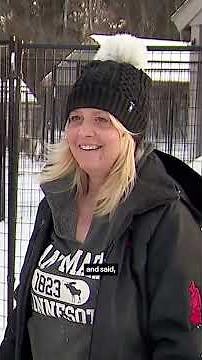 Trailer carrying 9 sled dogs splits in half on icy Minnesota interstate