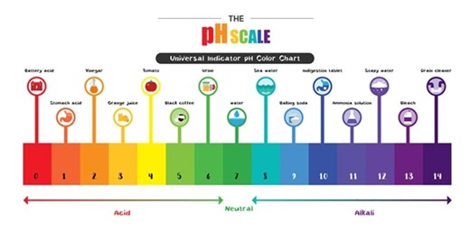 pH in the Human Body