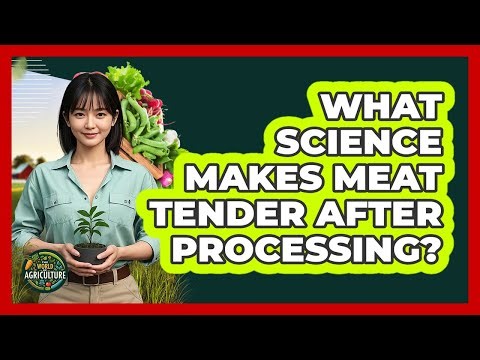 What Science Makes Meat Tender After Processing? - The World of Agriculture