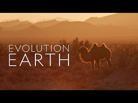 Evolution Earth - 2023 - PBS Documentary Series