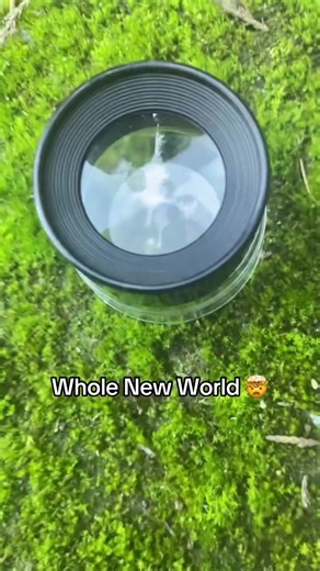 Exploring Satisfying Science Through a Microscope