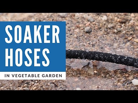 How to Install Soaker Hoses on Drip Irrigation in Vegetable Garden