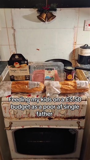 Feeding My Children on a Low Budget