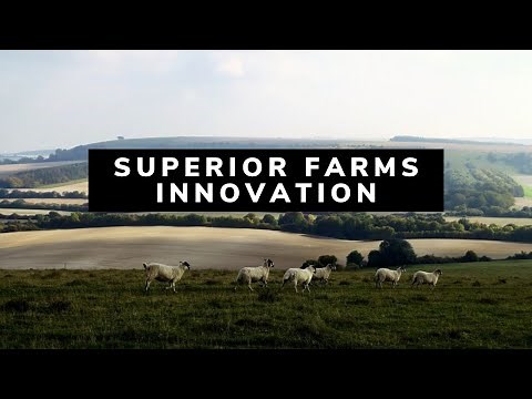 Superior Farms - Sheep Farming Industry Innovation