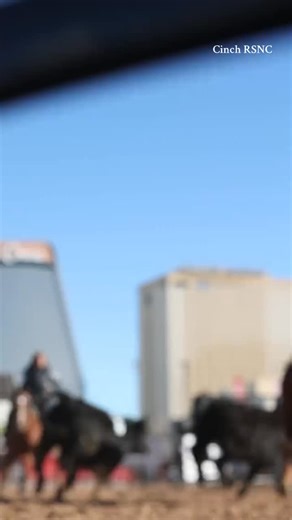 𝗧𝗵𝗲 𝗿𝗮𝗻𝗰𝗵 𝘀𝗼𝗿𝘁𝗶𝗻𝗴 𝗽𝗲𝗻 — 𝘄𝗵𝗲𝗿𝗲 𝘁𝗵𝗲 𝗮𝗱𝗿𝗲𝗻𝗮𝗹𝗶𝗻𝗲 𝗶𝘀 𝗵𝗶𝗴𝗵, 𝘁𝗵𝗲 𝗱𝗶𝗿𝘁 𝗳𝗹𝗶𝗲𝘀 𝗵𝗶𝗴𝗵𝗲𝗿, 𝗮𝗻𝗱 𝗲𝘃𝗲𝗿𝘆 𝗿𝘂𝗻 𝗰𝗼𝗺𝗲𝘀 𝗱𝗼𝘄𝗻 𝘁𝗼 𝗵𝗲𝗮𝗿𝘁 𝗮𝗻𝗱 𝗵𝘂𝘀𝘁𝗹𝗲. Teamwork, timing, and a whole lot of try. That’s ranch sorting. #cinchrsnc #ranchsorting | Ranch Sorting National Championships (RSNC)