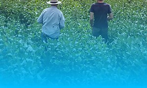 C'est pour demain (Documentaire) - Replay et vidéos en streaming | TF1