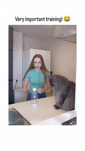 #BalliBotMogis #TrendingReels #TrendingReels #Foryoupage ##FYP #FYP #ViralTikTok #MillionViews #TechMagic #SmartBot #AITrend #RobotVibes #Innovation