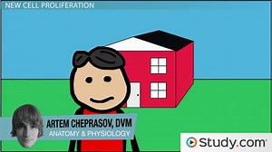 Neoplasm | Definition, Types, Causes & Treatment