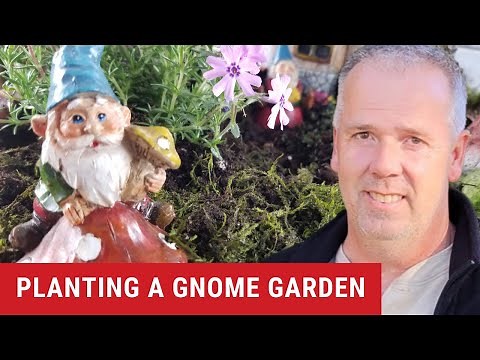 How to Make a Gnome Garden