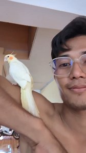 14 reactions | Best Videos | 3D Movies | Facebook