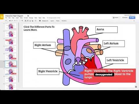 How To Use Google Slides To Create Interactive Diagrams In Less Than 5 Minutes!