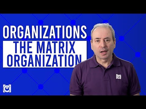 What is the Matrix Organization Model?