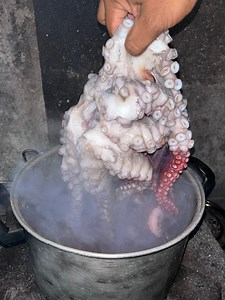 81K views · 1.1K reactions | Boiled Octopus | Marvin Almanon Page | Facebook