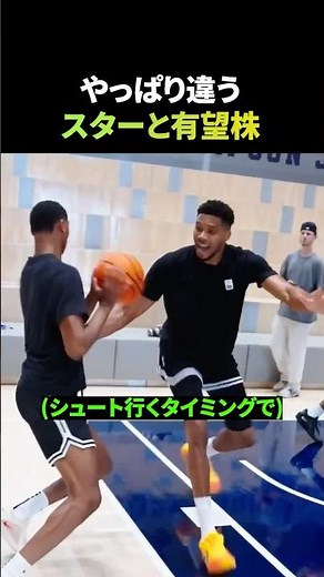 やっぱり違う、スターと有望株