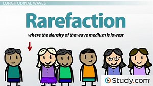 Transverse vs. Longitudinal Wave | Definition, Diagram & Examples - Video | Study.com