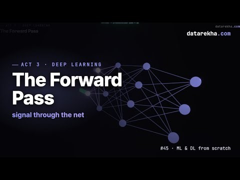 The Forward Pass — How a Neural Network Makes a Prediction | datarekha