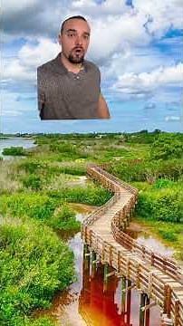 Boca Ciega Bay Explained