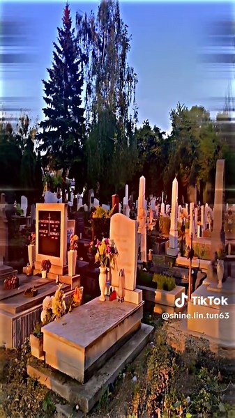 Alight Motion Editing Techniques for Beginners