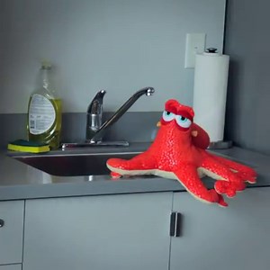 488K views · 3.1K reactions | Now you see Hank. Now you.... | Dory | Facebook