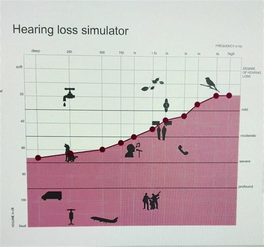 Reverse slope hearing loss simulation. #HearingAids #HearingHealth #OakbankHearingCentre