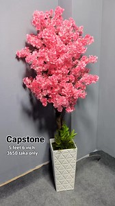 59K views · 784 reactions | Capstone on Reels | Facebook