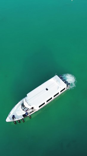 Exploring the Fascinating World of Flying Fish