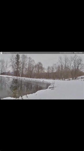106K views · 2.3K reactions | Body cam footage shows a Vermont State Trooper plunge into freezing waters to save an 8-year-old child. | Street Cop Training | Facebook