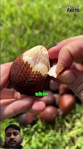 “Types of Fruits Explained | Complete Fruit Categories Guide”#fruits #cuttingfruit #watermelon