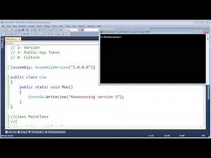 .NET Assembly Versioning