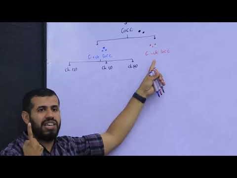 lecture 1 Bacteria (1) : Ch. (1) - Taxonomy + Ch. (2) - Staphylococcus aureus (1)MICRI 309 Dr.Hesham