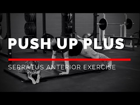Push Up Plus (SERRATUS ANTERIOR Strengthening Exercise)