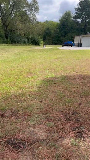 Invader 400 crossbow is dialed in. #crossbows #shortvideo #shortsfeed #shorts #short #shortsvideo