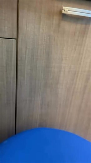 Shamaka RO Munchkin Cattery on Reels