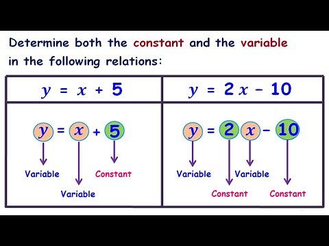 Constant and a Variable in math