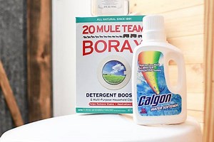 Geo Method Recipe: Dawn, Calgon and Borax For RV (Guide)