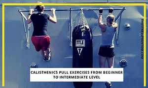 12 Best Calisthenics Pull Exercises to Build Resilience - The Fitness Phantom