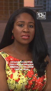 34K views · 110 reactions | They're coming... trillions of cicadas...