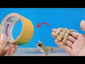 2 Ways to make a Lizard Trap!