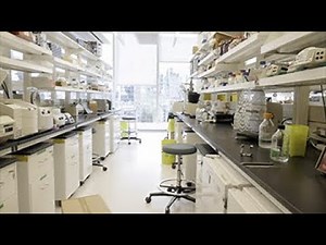 Lab Safety: Biosafety