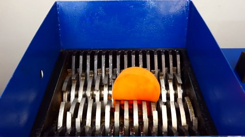 Shredding Coronavirus!