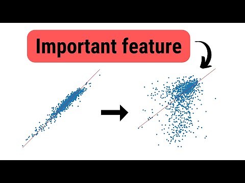Permutation Feature Importance from Scratch | Explanation & Python Code