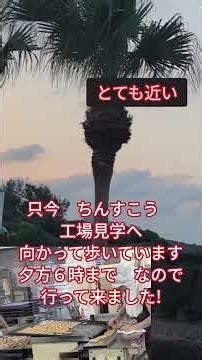 沖縄観光 ポイントバケーション沖縄長浜製菓 近くの風景を撮影して