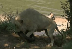 1.6K views · 1K reactions | lol i iz the king of the jungle | Meme Center | Facebook