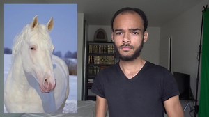 Cheval creme. 🇺🇲🇫🇷🇧🇪 https://fr.m.wikipedia.org/wiki/Cheval_crème | Vinny